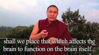 Tibetan Monastic Scholars Questions for Science   Sonam Gonpo   Brain Control