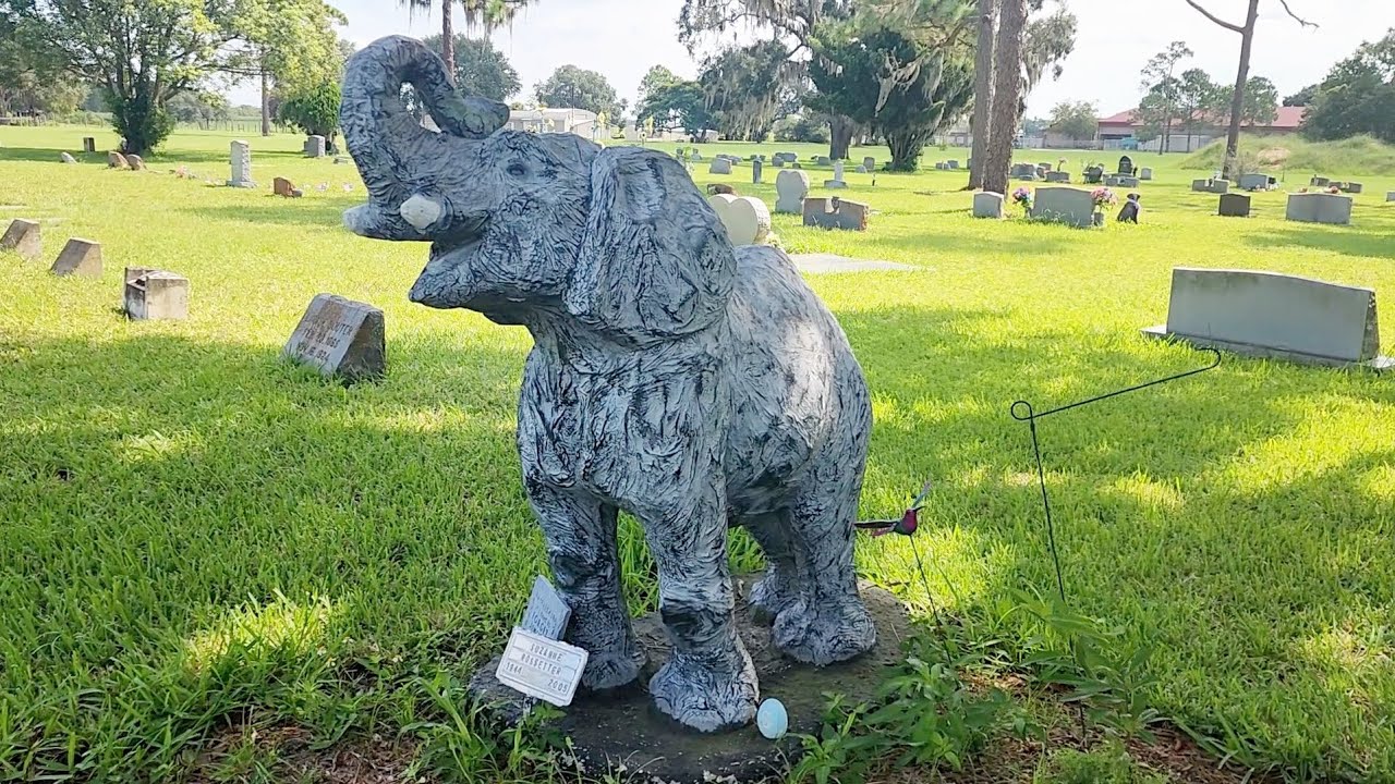 Astatula Cemetery 8/2/23. Ricks Random Roadside video 27. *See