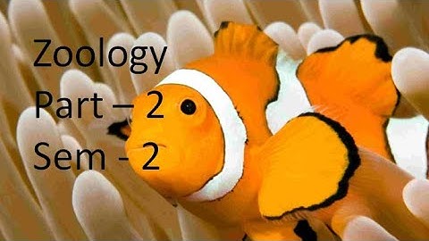 Kerala University BSc Botany previous questions -  ZOOLOGY - Part- 2 ( sem - 2 )