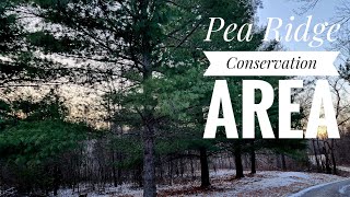 Free Camping in Missouri: Pea Ridge Conservation Area review