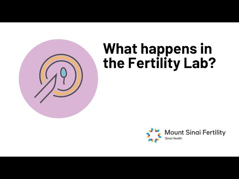 What happens in the Fertility Lab