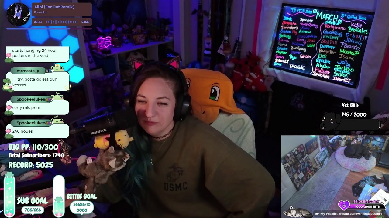 ACCIDENTAL TEST STREIM