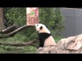 view #BaoBaoBday: What is a Zhuazhou? digital asset number 1