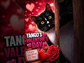 VALENTINES DAY | Tango: Fence to Fence ❤️🐾 | Tango the Garden Romeo