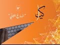 كيان |  الدماغ الثاني