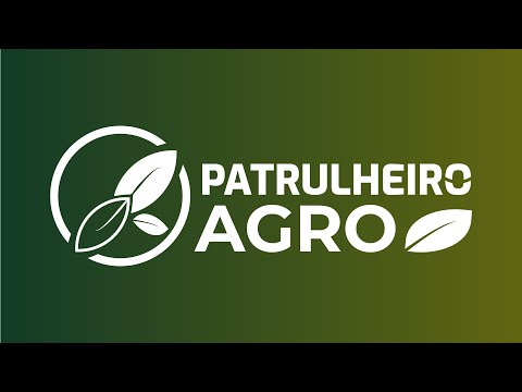 Compra de sementes para a safra 23/24 segue cautelosa em MT | Patrulheiro Agro ep.89 | Canal Rural