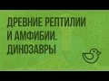 Древние рептилии и амфибии. Динозавры. Видеоурок по окружающему миру 1 класс