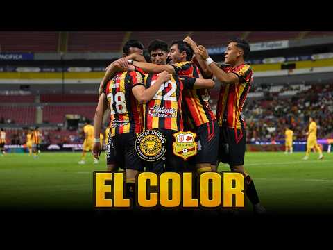 EL COLOR | Victoria y la inauguración de la X Copa Leones Negros