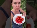 De que depende el sabor y el aroma del tomate? (Mas info en mi In)