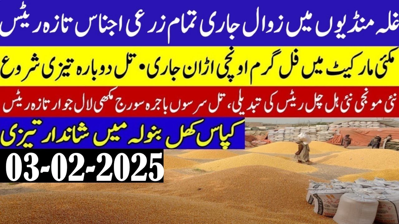new Munji rates today in Punjab/wheat price toda/wheat Future price ...