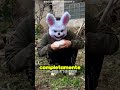 Conejo Malvado Me Persigue!