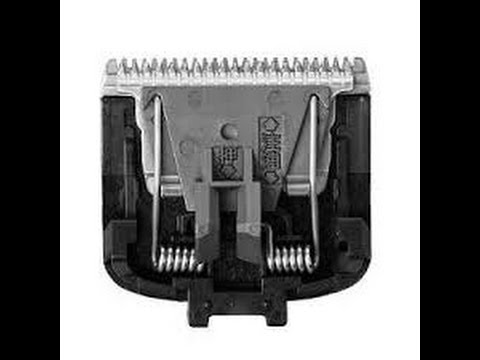 wahl trimmer head assembly