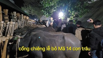 Cồng chiêng jrai lễ bỏ Mã plơi kép ping. xã ia mơ nong Chư păh