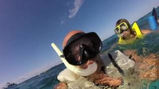 Sombrero Reef, Marathon Key, FL 5.7.17 (Alan Day)