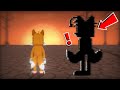Melon Playground: Tails Nightmares! Tails VS. Tails Doll in Melon Playground