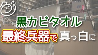 黒カビバスタオルを煮洗いしても落ちなかったので、最終兵器を使ってみた。｜お掃除らいふ