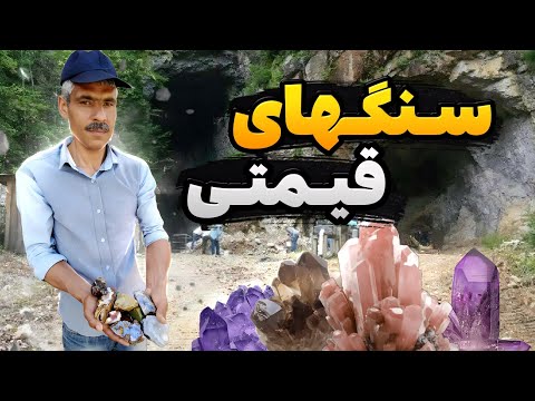 تصویری: چه سنگ هایی فسیل دارند؟