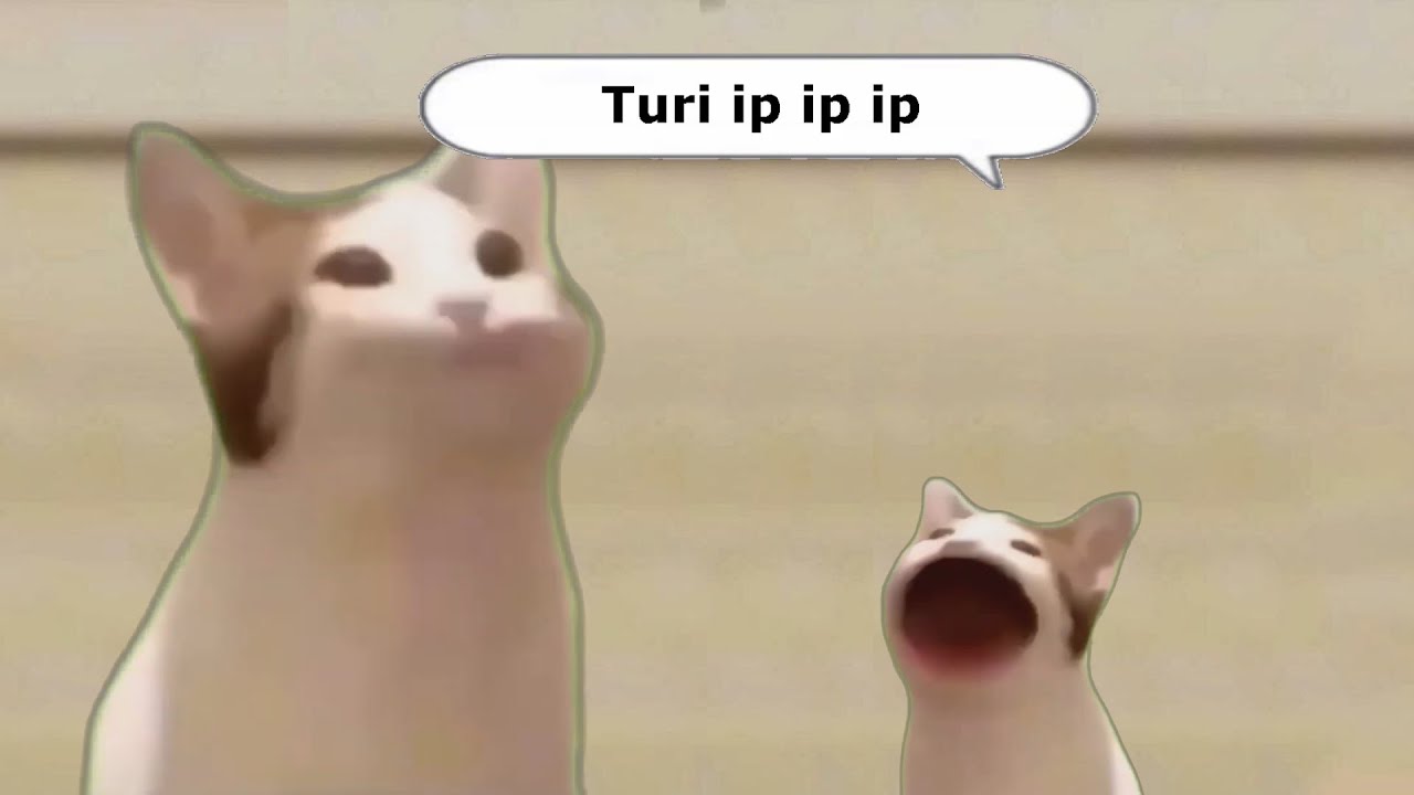 Turi Ip Ip Ip [Pop Cat Edition] - Youtube