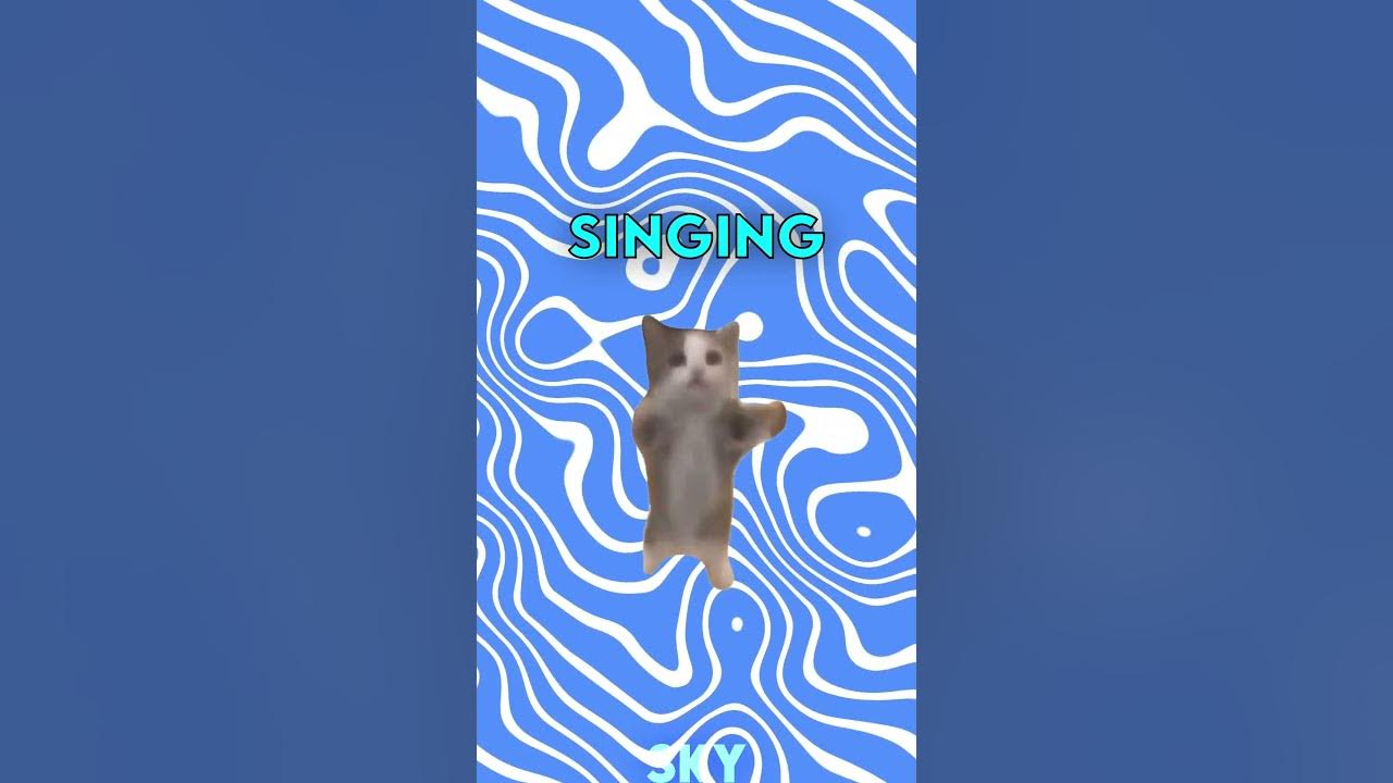 Wah Wah Cat Without The AutoTune 😱 shorts memes YouTube