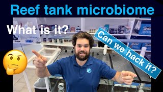 Don’t add bacteria to your saltwater reef aquarium before watching this!