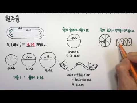 원의 둘레/ 원의 넓이 1 : 원주율 파이/ 원의 둘레/ 원의 넓이 (초등수학)