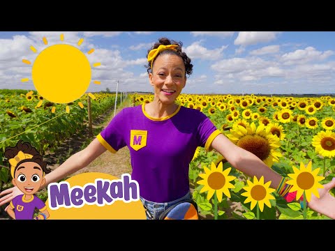 Meekah Explores a Farm and Makes Lemondade!🌻🍋 | Educational Videos for Toddlers