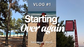 다시 시작하기| Starting Over Again, gangneung 3 day trip🤍