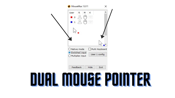 How to get two mouse pointers on windows?