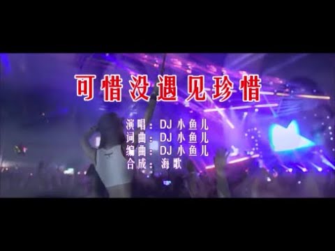 DJ小鱼儿 《可惜没遇见珍惜 （DJ版）》 KTV 导唱字幕 （备有伴奏视频）