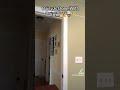 Tal On X Lord Jk Donald Duck And Ernie Screaming 