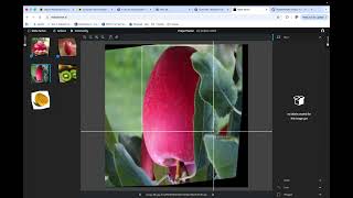 Annotating on makesense.ai