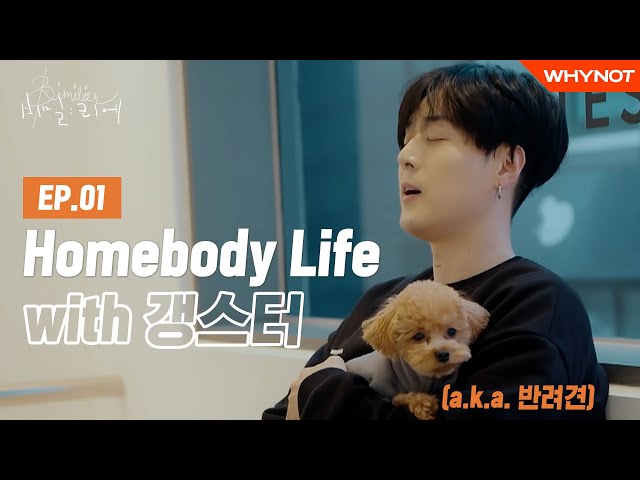 Homebody pH-1과 반려견 holly의 일상, 그리고 사랑 노래 ㅣpH-1 [비밀리에] EP1 class=