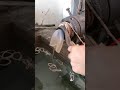 صناعة المطاط صناعة المطاط