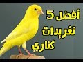 5 أحسن تغريدات كناري في العالم للتعليم والتسميع 2017