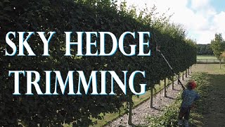 Trimming a Sky Hedge by jason Gardener 4,135 views 1 year ago 12 minutes, 43 seconds
