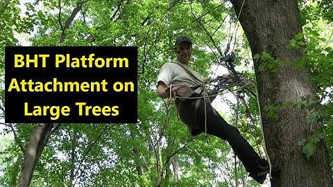 BHT Platform Attachment on Large Trees