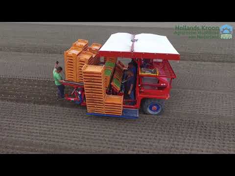 Vollegrondsgroenten in Hollands Kroon