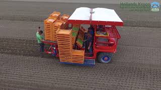 Vollegrondsgroenten In Hollands Kroon