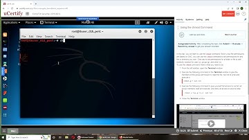 Using the chmod Command