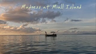 Episode 2 - Madness at Miall Island