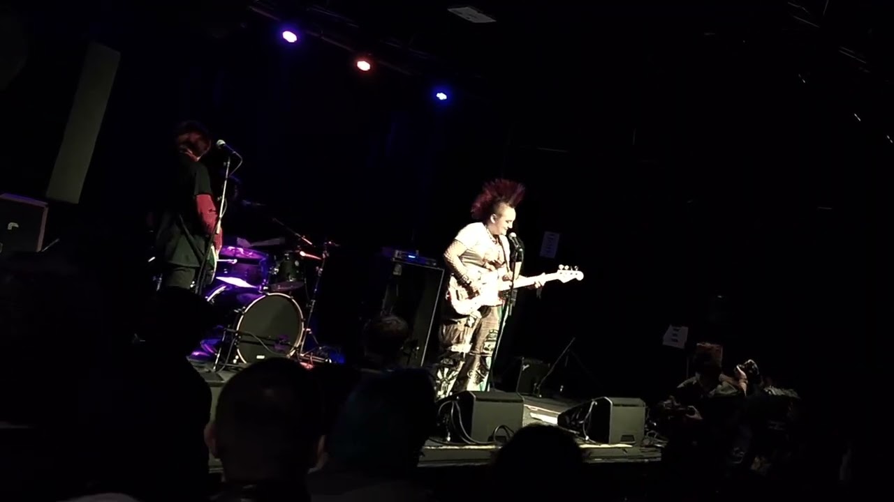 Nogginless - Nogginless, live at Real Art Tacoma (2/20/26)