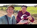 Found 2,000 Year Old Coin with My Metal Detector at Roman Site! (Crazy Find)