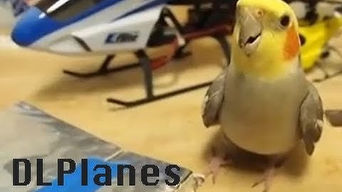 Building Elevator : Rudder