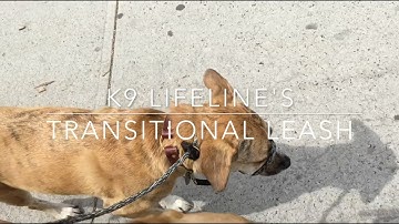 Canine  Cohen: K9 Lifeline Transitional Leash Review