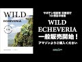 エケベリア原種本「ワイルドエケベリア」販売開始します