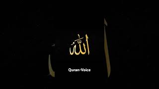 Surah Talaaq Ayat 7-10 Translation In Urdu By Quran Voice #foryou #quranictranslation #islamicstatus