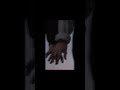ح ط ايدك ب دي للموت مصممه انوشه ستوريات شاشه سوداء ح ط ايدك ب دي للموت مصممه انوشه ستوريات شاشه سوداء