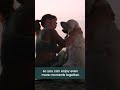 the Dog Lovers Festival