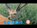 北海道旅行(3)【Hokkaido trip (3)】