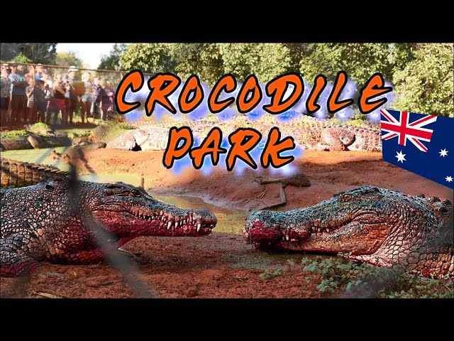 Malcolm Douglas Crocodile Park